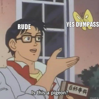 rude yes dumpass 