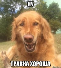 ну травка хороша