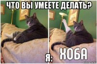 что вы умеете делать? я: