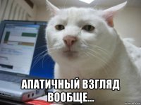  апатичный взгляд вообще...