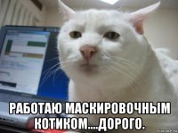  работаю маскировочным котиком....дорого.