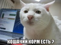  кошачий корм есть ?