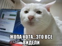  жопа кота...это все видели