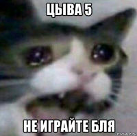 цыва 5 не играйте бля