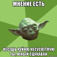 мнение есть несешь хуйню несусветную ты, юный сцукаван