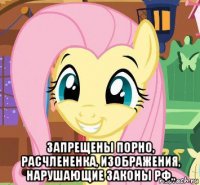  запрещены порно, расчлененка, изображения, нарушающие законы рф..