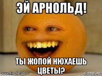 эй арнольд! ты жопой нюхаешь цветы?