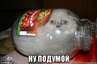  ну подумой