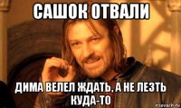 сашок отвали дима велел ждать, а не лезть куда-то