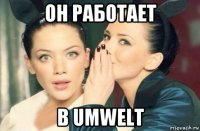 он работает в umwelt