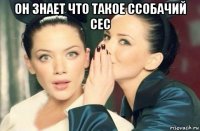 он знает что такое ссобачий сес 