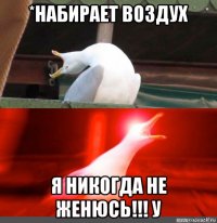*набирает воздух я никогда не женюсь!!! у