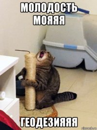 молодость мояяя геодезияяя