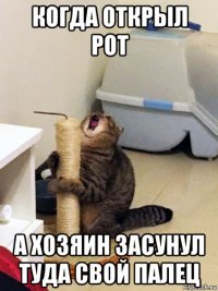 когда открыл рот а хозяин засунул туда свой палец
