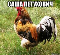 саша петухович 