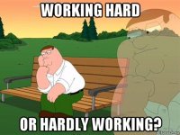 working hard or hardly working?