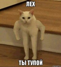 лех ты тупой