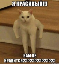 я красивый!!! вам не нравится??????????????