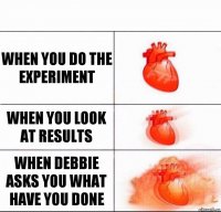 When you do the experiment when you look at results when debbie asks you what have you done
