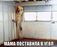  мама поставила в угол