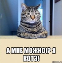  а мне можно!? я котэ!