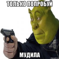 только попробуй мудила