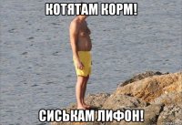 котятам корм! сиськам лифон!