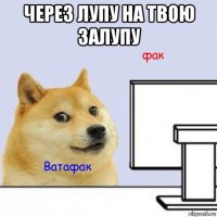 через лупу на твою залупу 