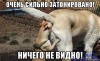 очень сильно затонировано! ничего не видно!