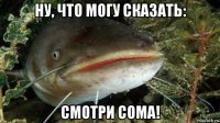 ну, что могу сказать: смотри сома!