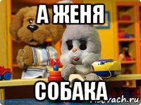 а женя собака