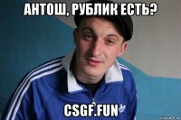 антош, рублик есть? csgf.fun