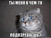 ты меня в чем-то подозреваешь?