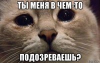 ты меня в чем-то подозреваешь?