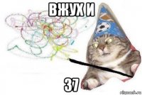 вжух и 37