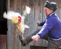 Создать мем О