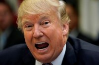 Создать мем Трампждун