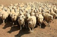 Создать мем Вот кем антисемиты
