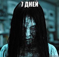 7 дней 