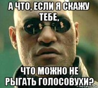 а что, если я скажу тебе, что можно не рыгать голосовухи?