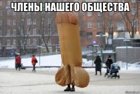 члены нашего общества 