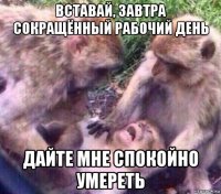 вставай, завтра сокращённый рабочий день дайте мне спокойно умереть