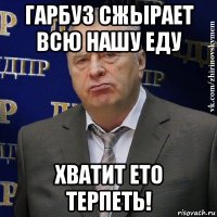 гарбуз сжырает всю нашу еду хватит ето терпеть!