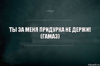 Ты ЗА МЕНЯ ПРИДУРКА НЕ ДЕРЖИ!
(Гамаз)