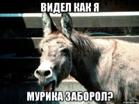 видел как я мурика заборол?