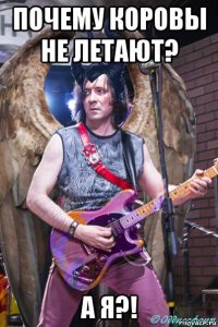 почему коровы не летают? а я?!