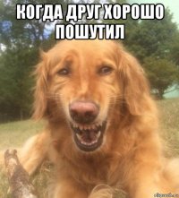 когда друг хорошо пошутил 