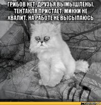 грибов нет. друзья вымышлены. тентакля пристает. микки не хвалит. на работе не высыпаюсь 
