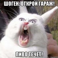 шоген, открой гараж! пиво течет!