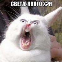света, якого х?я 